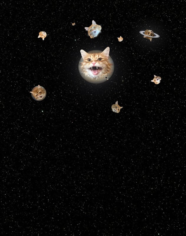 Cats' faces are edited onto planets and stars, floating in a star-filled space background. One large cat face is at the center, glowing, while smaller cat faces orbit or appear as distant stars.