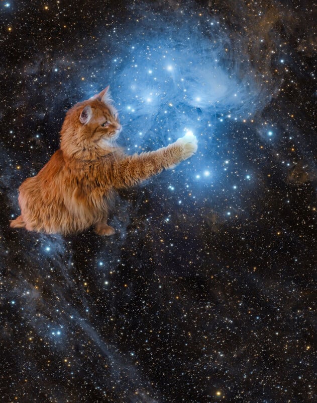 A fluffy orange cat floating in outer space reaches out with its paw to touch a glowing cluster of blue stars surrounded by cosmic dust.