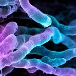 Magic Johnson Ripped For Hilariously Obvious World Series Tweet