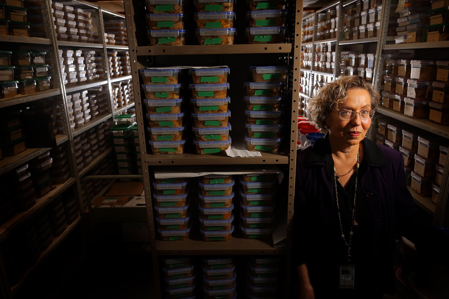 Director Dr. Sabina Berretta in the fixed tissue room where some 8,000 brains are stored.