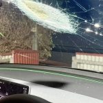 Demi Lovato Dressed Up As Poot Meme for Halloween