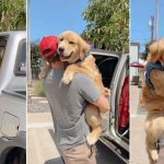 Andy Cohen Got ‘Physical’ with John Mayer, Recalls Anderson Cooper Blind Date & Doing Ketamine with Amy Sedaris