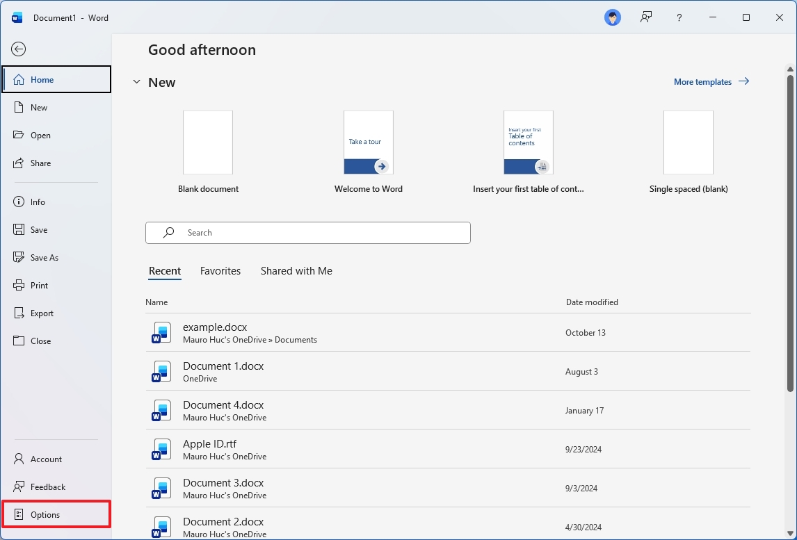 Microsoft Word Options
