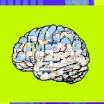 Cure for paralysis? Scientists find an old drug that could regenerate life in the spinal cord |