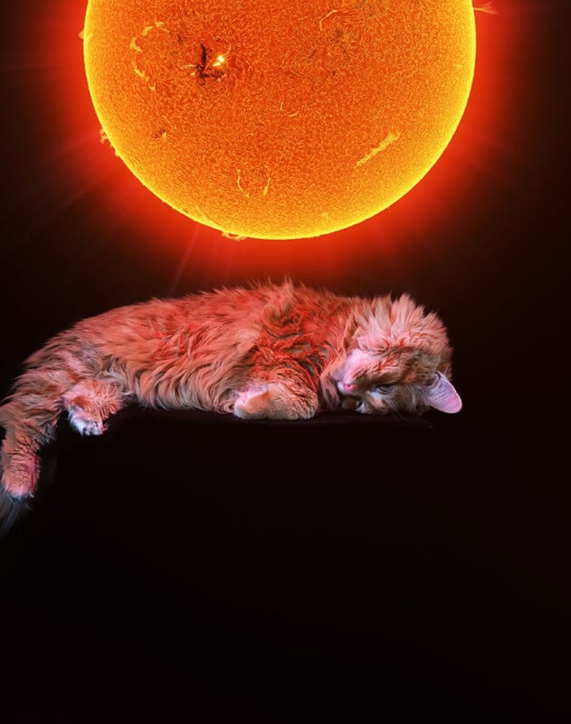 A fluffy orange cat is sleeping on a dark surface with a large, bright, fiery sun glowing in the background, creating a surreal and warm atmosphere.