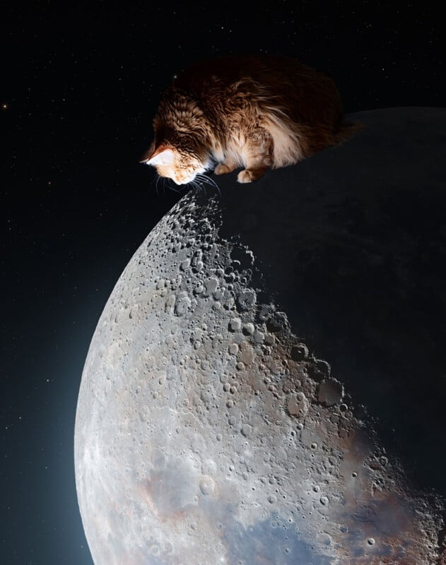 A ginger cat sits at the edge of a large moon, gazing curiously over its illuminated, cratered surface against a backdrop of dark space and stars.