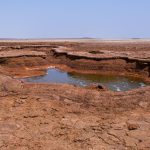 Tim Cook says more AIs are coming to Apple Intelligence