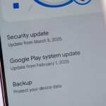 SpaceX launches 29 Starlink satellites to orbit from Florida