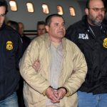 Lab monkeys that escaped captivity in Mississippi are not carrying diseases, university says | Mississippi