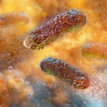 Is a new ocean forming in Africa?