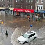 Fortnite is getting pets at last, including a banana puppy you can dance with – introducing yet another cosmetic you can spend money on, in-game