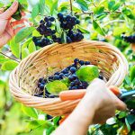 Where the Green Bay Packers, Detroit Lions, Chicago Bears & Minnesota Vikings stand heading in to Week 9