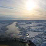 What now for Fergie? Sarah Ferguson is evicted from Royal Lodge alongside Andrew as shamed ex-Duke is stripped of his Prince title