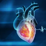 Michael J. Fox Clears Up the Decades-Old Drama About Replacing Eric Stoltz in ‘Back to the Future’