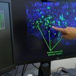 ChatGPT Atlas has arrived. Here’s what to know about OpenAI’s web browser and how it uses your data.
