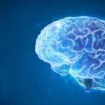 Nanobody-based recombinant antivenom for cobra, mamba and rinkhals bites