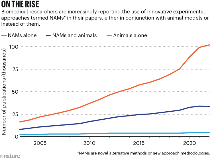 On the rise: a line chart showing use of animal testing alternatives termed NAMs (novel alternative methods or new approach methodologies) in biomedical research papers between 2003-2022. Papers utilising NAMs alone were most common and showed a marked increase (from 16,338-102,379). Papers using both NAMs and animal model testing also rose (from 82,59-33,637), while papers using only animal models remained the least commonly used and scarcely increased when compared to the other methods (from 2,240-4,151).