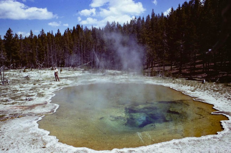 A man standing by a green hot spring pool with steam rising from it, surrounded by coniferous trees.