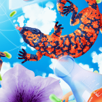 Musings: A Wild Finish in Philly