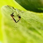 When to step back from a difficult relationship : NPR