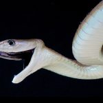 Lily Allen to tour West End Girl album in UK theatres