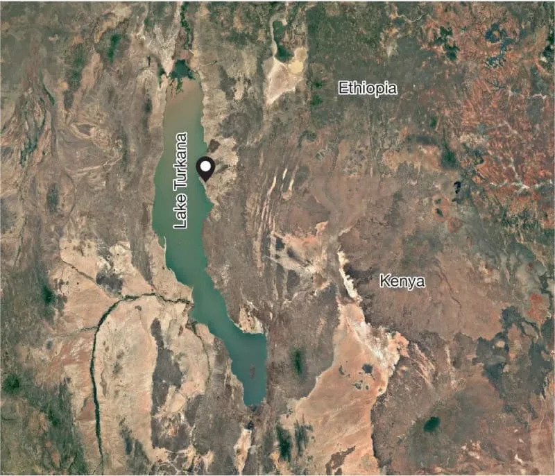 Satellite map of the Turkana Basin region indicating the geospatial location of the KNM-ER 101000 excavation site. (CREDIT: Nature)