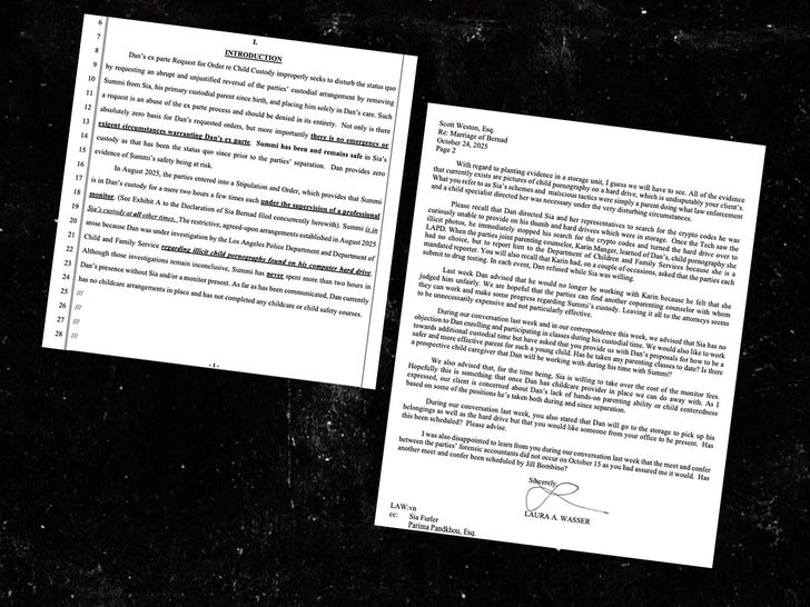 Sia Estranged Husband Files For Sole Custody of Kid -- Sia's Exhibits