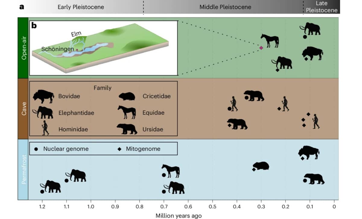 Environmental Contexts And Temporal Distributions Of Pre 100 ka Nuclear Genomic Data Andor Mitogenomes