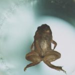COVID-19 infection might impact the generation: Sperm changes lead to increased anxiety in offspring |