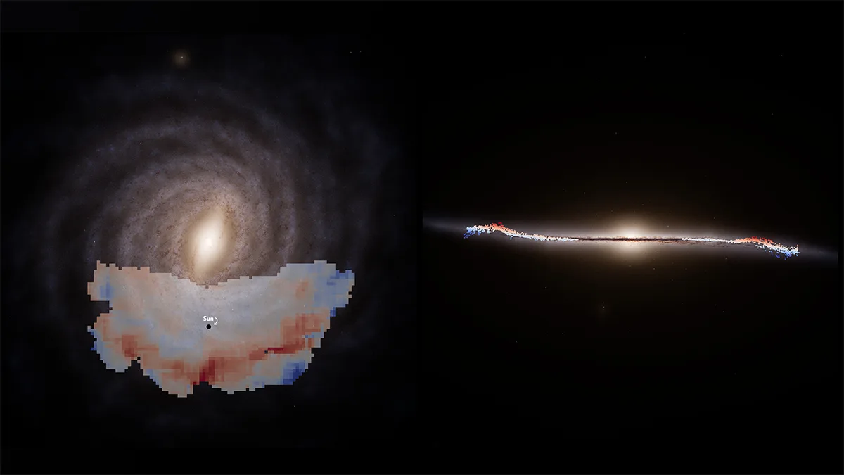 Images representing a giant wave rippling through the Milky Way galaxy, using data from the ESA Gaia mission. Left shows our Galaxy face-on. Right shows a vertices slice of our Galaxy, edge-on. The wave is indicated in red and blue. Credit: ESA/Gaia/DPAC, S. Payne-Wardenaar, E. Poggio et al (2025)