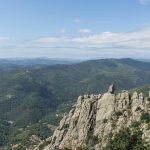 Windows 11 KB5067036 issue, Task Manager won’t close and duplicates, may hurt performance