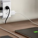 She Was Half Ape, Half Human—and She May Hold the Secret to What Makes Us Who We Are