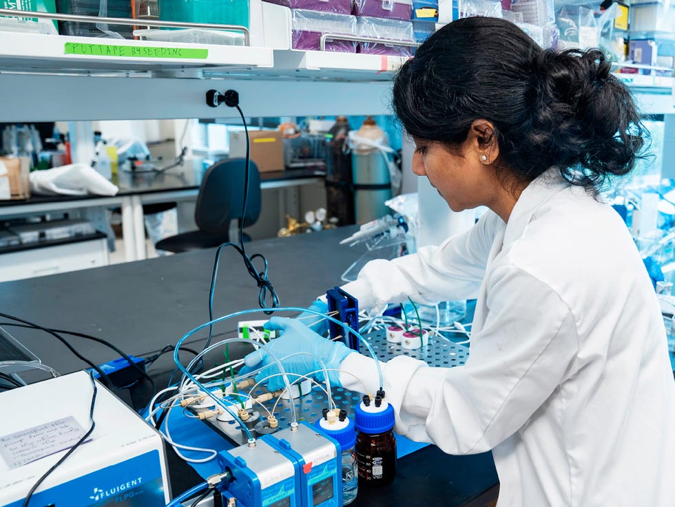 laboratory setup with scientific equipment and a researcher conducting experiments