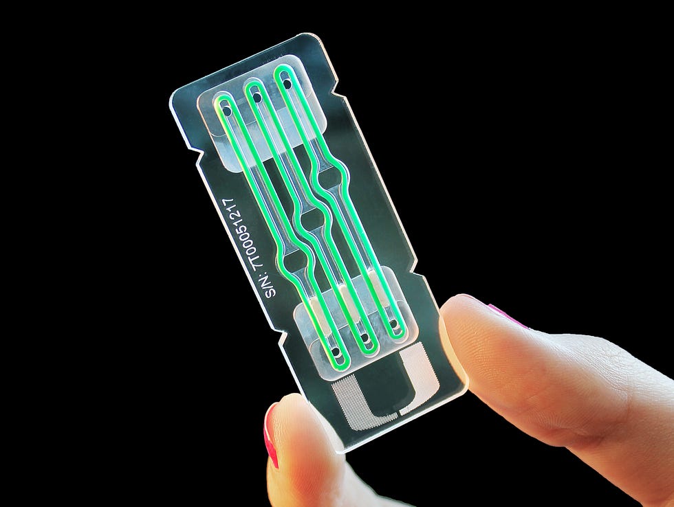 organs on a chip.
