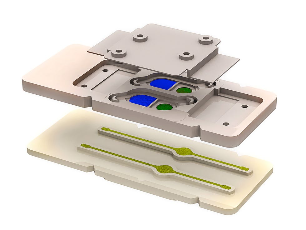 cells from the penis and testes are embedded in this chip, allowing researchers to see what hinders their function.