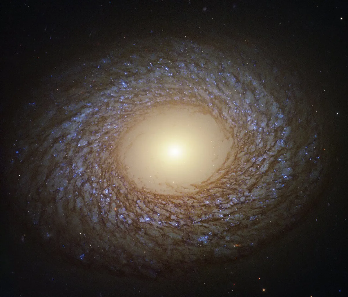 Hubble Space Telescope image of galaxy NGC 2775, from 2020. Credit: ESA/Hubble & NASA, J. Lee and the PHANGS-HST Team. Acknowledgement: Judy Schmidt (Geckzilla)