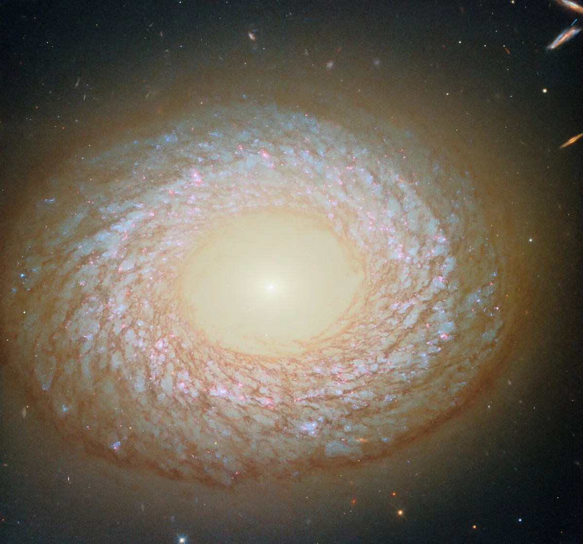 Hubble Space Telescope image of galaxy NGC 2775, from 2025. Image created using Hubble's 2020 image, with added data captured in infrared light. Credit: ESA/Hubble & NASA, F. Belfiore, J. Lee and the PHANGS-HST Team