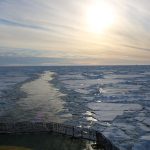 Gloria Estefan’s Daughter’s Partner Arrested for Robbery, Battery