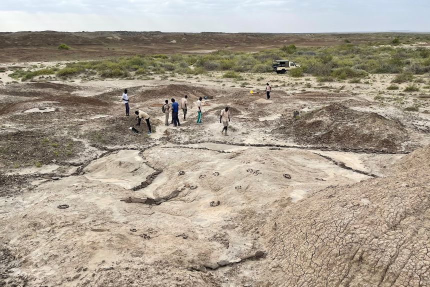 The Koobi Fora site has yielded a rich variety of fossils, including footprints.