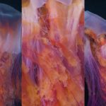 Clickbait Gives AI Models ‘Brain Rot,’ Researchers Find
