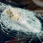 Sydney Sweeney Reacts To Jokes About Her Chest — Report