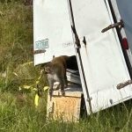 Inside The Trump Family’s Global Crypto Cash Machine