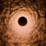 They Help the Immune System vs Cancer