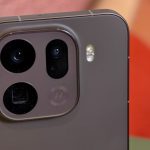 Monkeys escape after truck overturns on Mississippi highway, 1 still missing