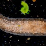 Kevin Costner Is Going Deep-Sea Sunken Treasure Hunting