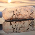 Trump fires board that oversees D.C. construction projects, as he plans major changes to White House