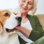 The 10 Most Popular Horror Movies This Halloween Are Surprising