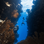 One Type of Activity Is Particularly Effective at Keeping Your Brain Young : ScienceAlert