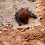 What Is The Biggest Unsolved Problem In Math And How Does It Impact Prime Numbers?