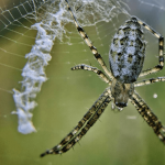 Suzanne Rogers, Days of Our Lives Legend, on Colon Cancer Diagnosis